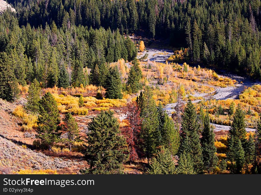 Snake river in beautiful yellow stone national park. Snake river in beautiful yellow stone national park