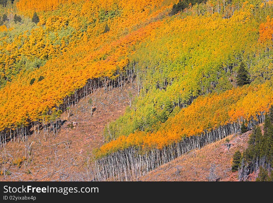 Colorful landscape of San Juan mountains in autumn. Colorful landscape of San Juan mountains in autumn