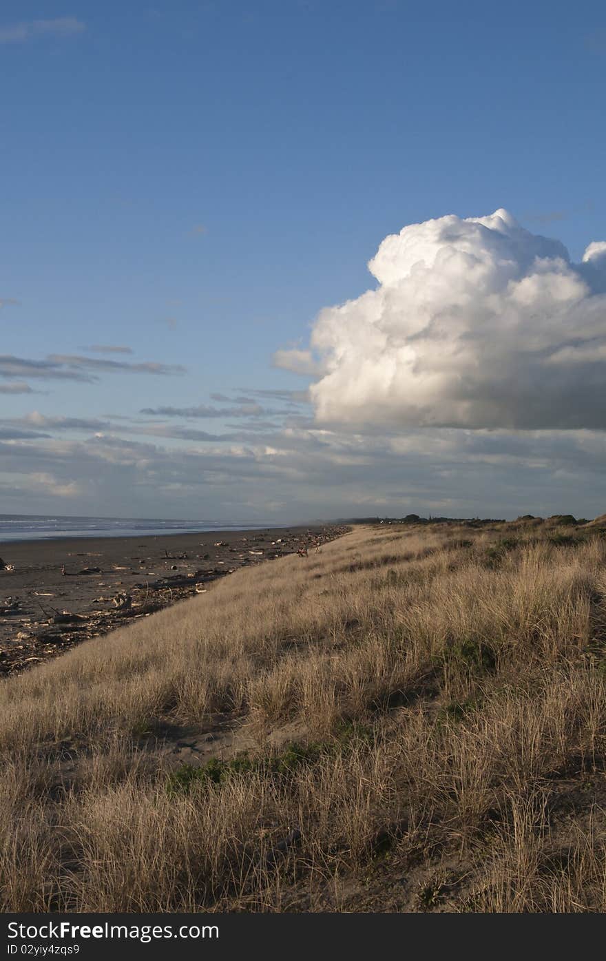 Peka peka sand dunes