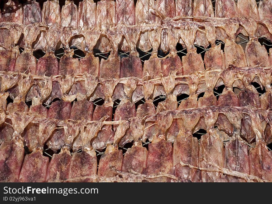 Dried and flatten squids in a Thai market. Dried and flatten squids in a Thai market