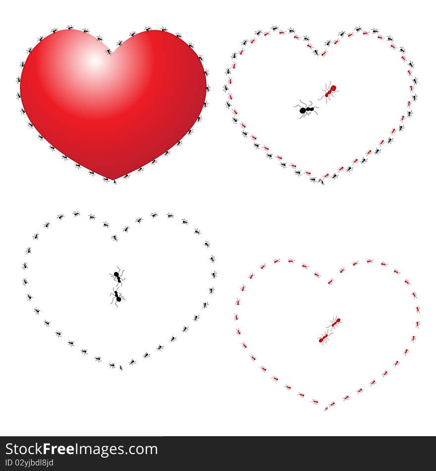 Illustration of heart and ants on white background