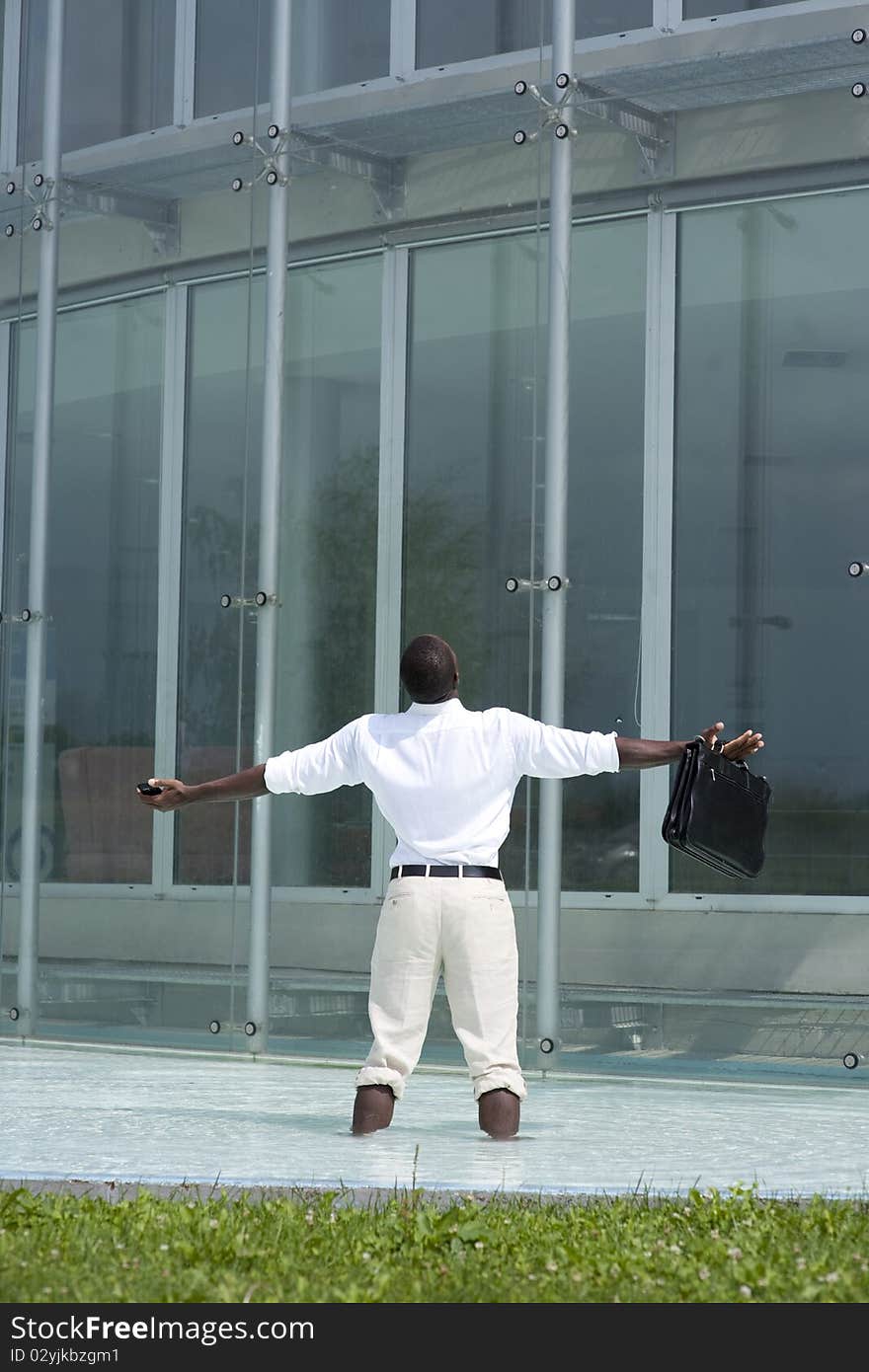 Rear view of a businessman inside a pool