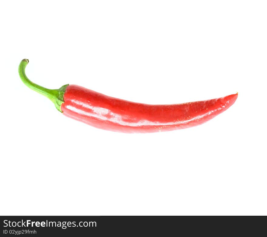 Red hot chili pepper