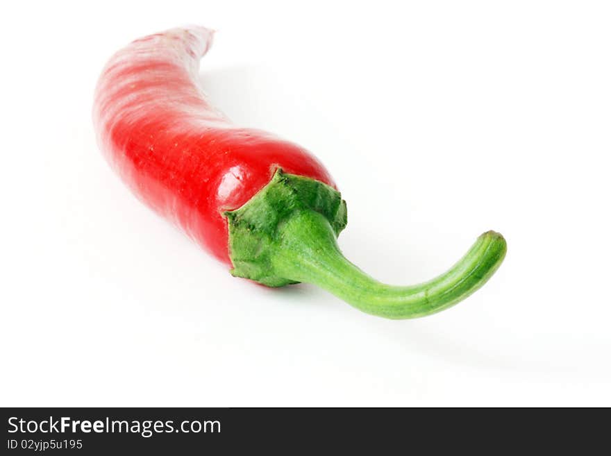 Red Hot Chili Pepper