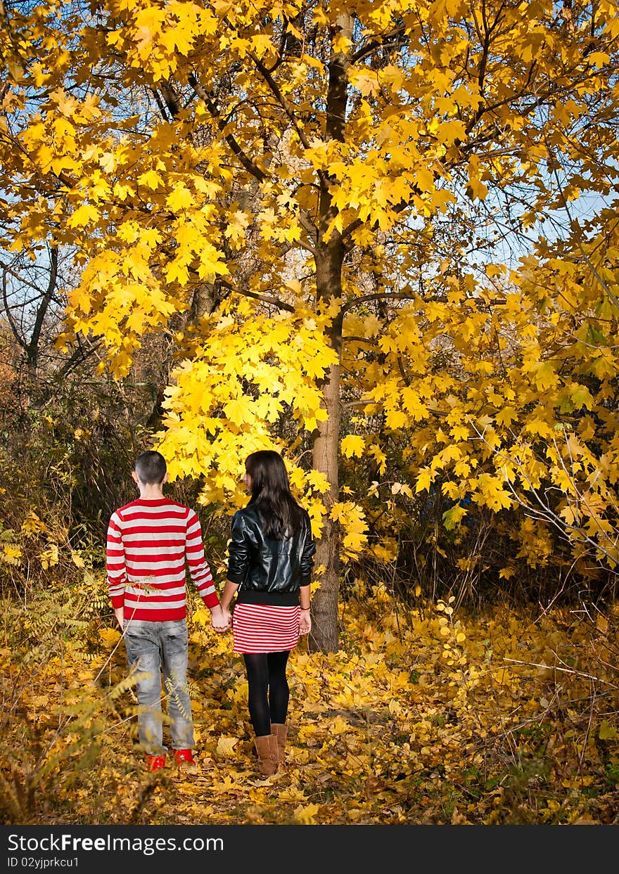 Couple of young man and girl in a fall forest. Couple of young man and girl in a fall forest