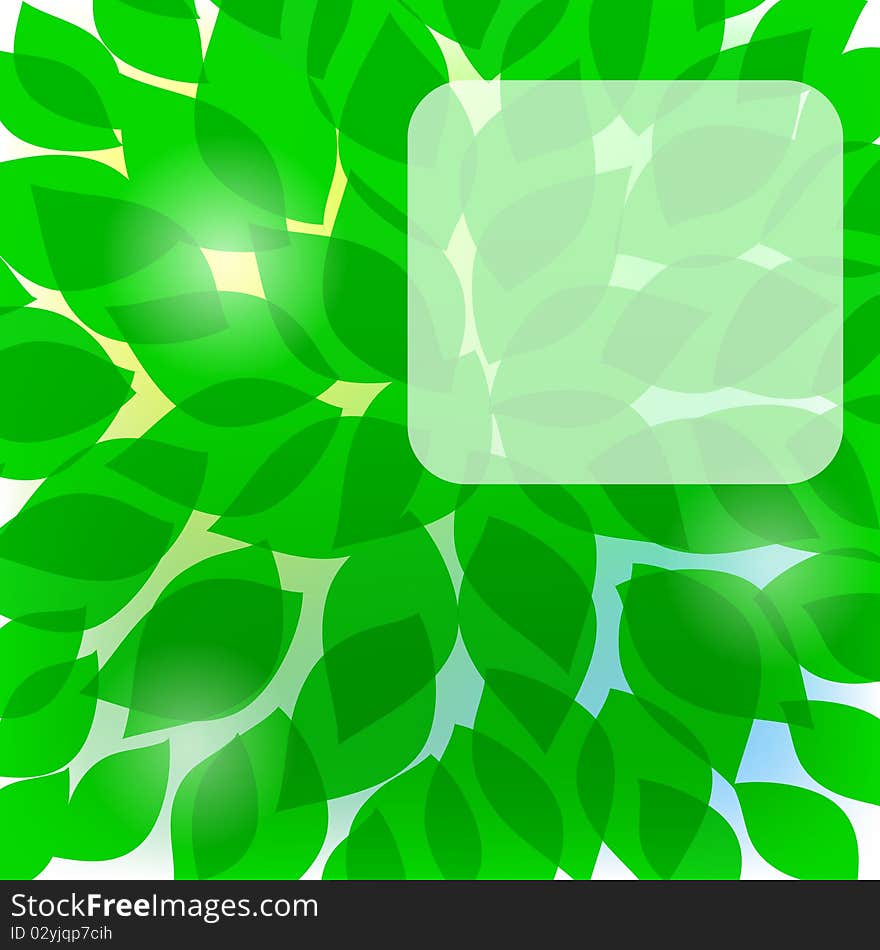 Abstract background from leaf and with place for text. Abstract background from leaf and with place for text