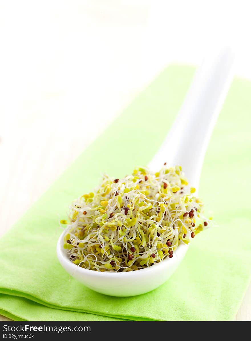 Fresh broccoli sprouts on spoon