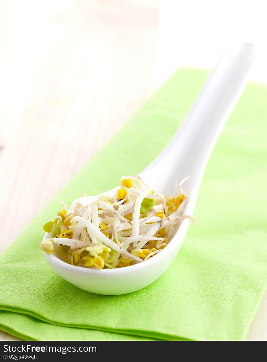 Fresh radish sprouts on spoon