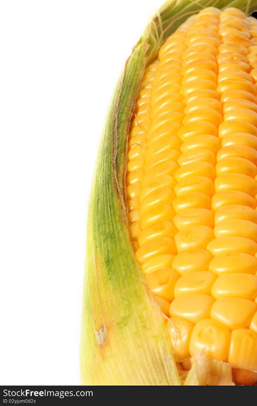 Corn