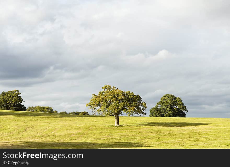 Beautiful countryside landscape photo of a beautiful scenic meadow and trees.