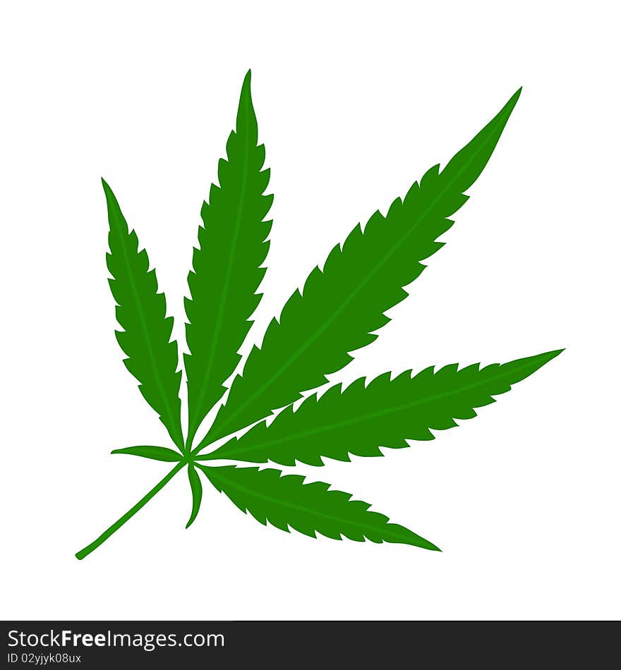 Hemp leaf