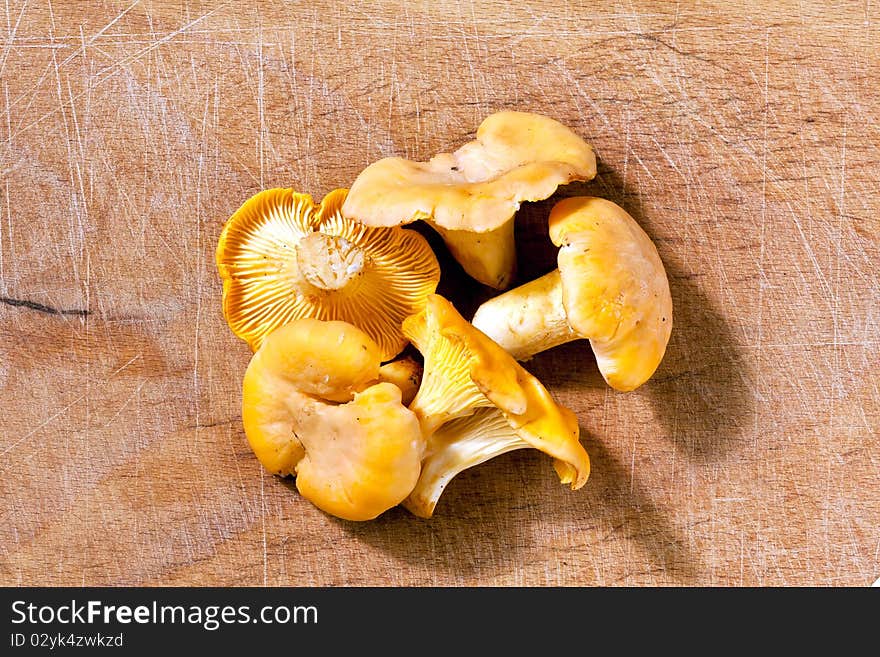 Delicious chanterelle mushrooms ready to cook