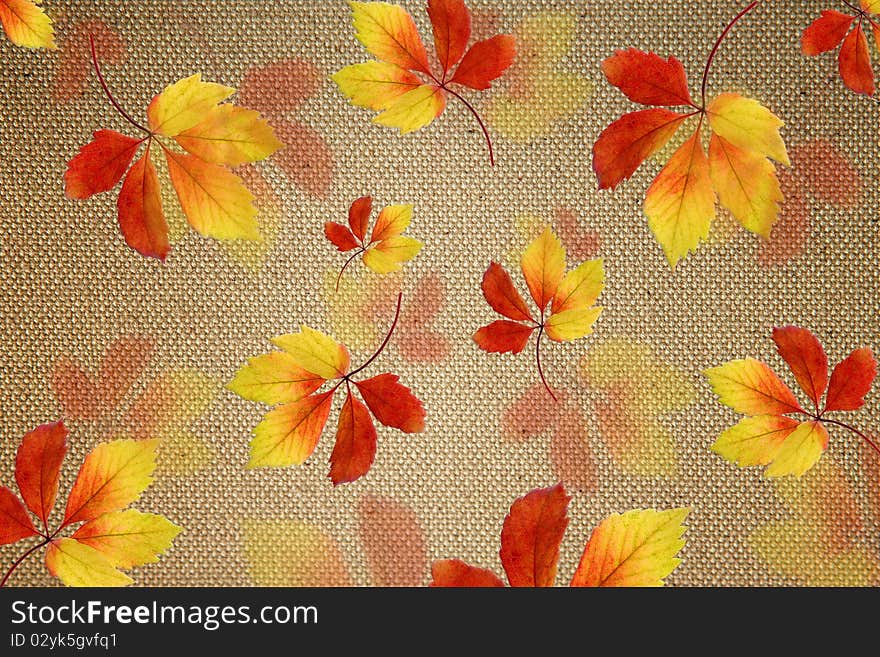 Yellow leaves on the background texture. Yellow leaves on the background texture