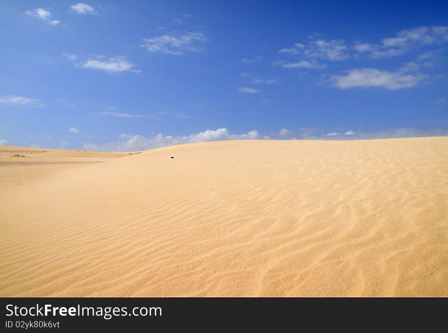 Sand of the Desert of sahara. Sand of the Desert of sahara