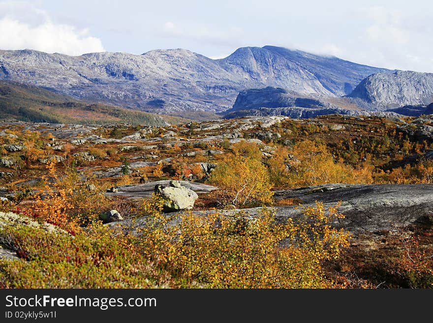 Autumn in mountains