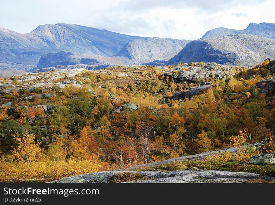 Tourism in national parks Rago, Norway. Tourism in national parks Rago, Norway