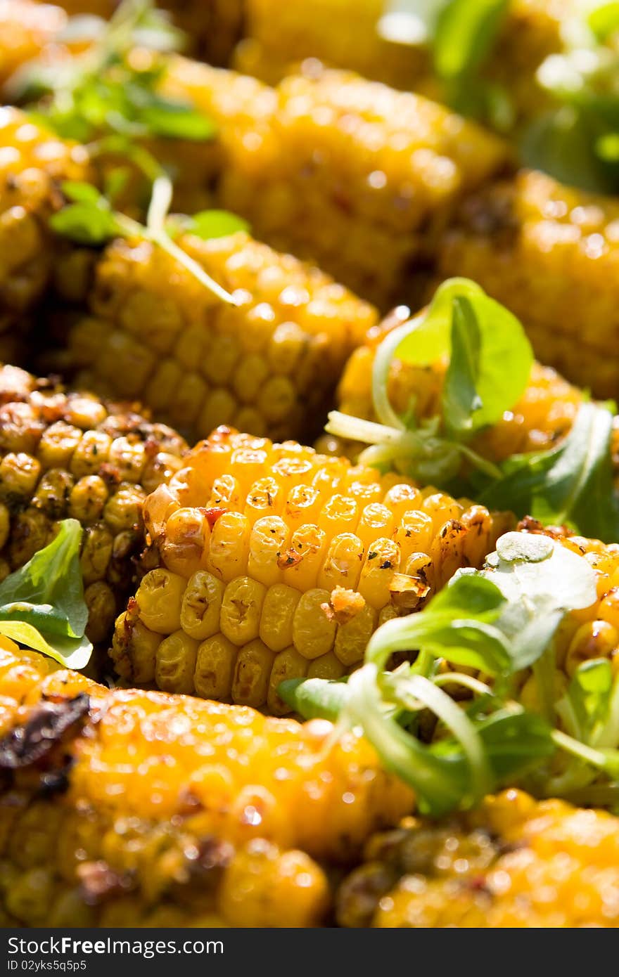 A close-up of delicious grilled yellow corncobs