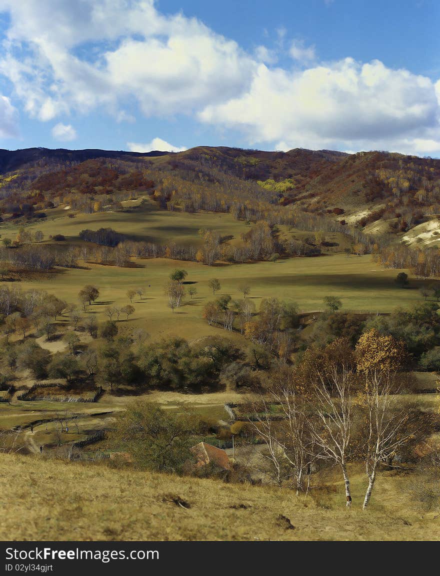 Grassland And Rural