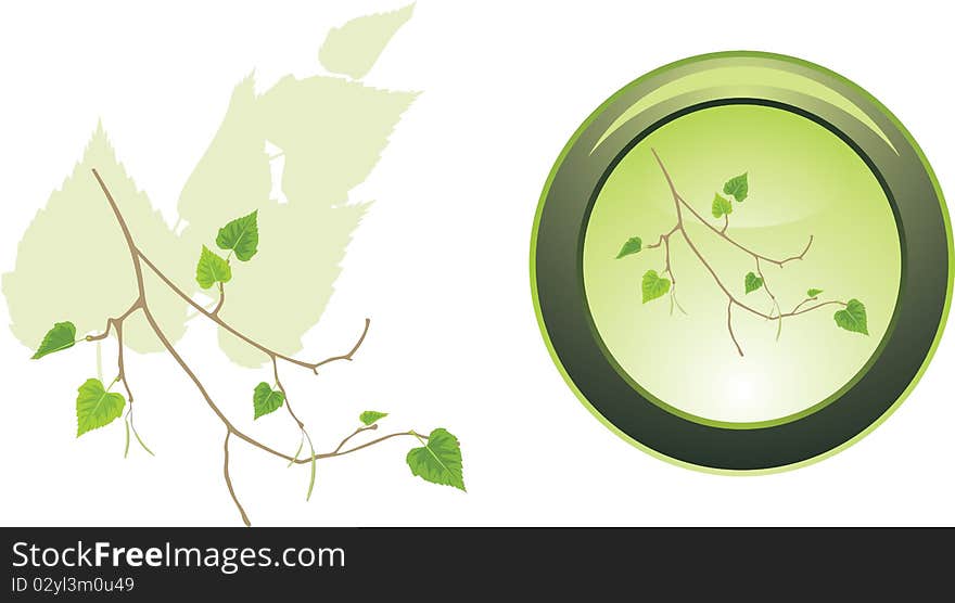 Button with sprig of birch. Illustration