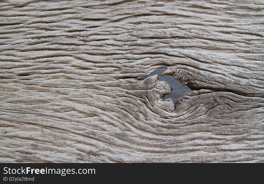 Old wood and used as background. Old wood and used as background.