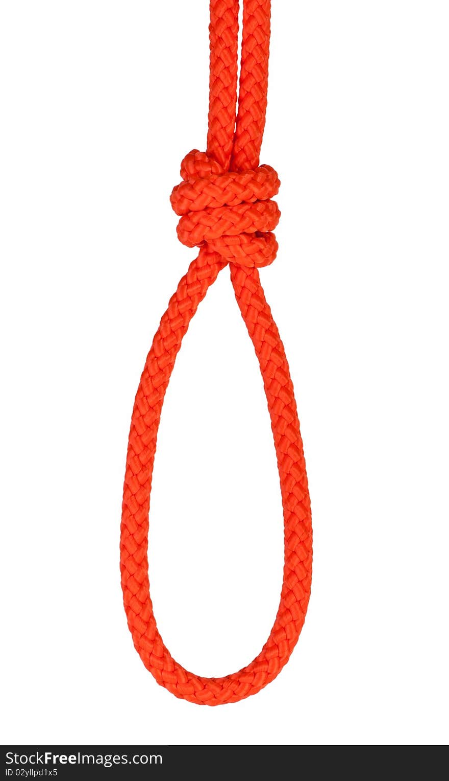 Noose isolated on white. Noose made of rope. Stock image.