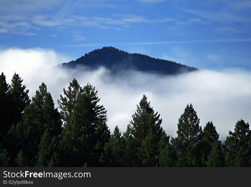 Trees, Mountains, And Clouds