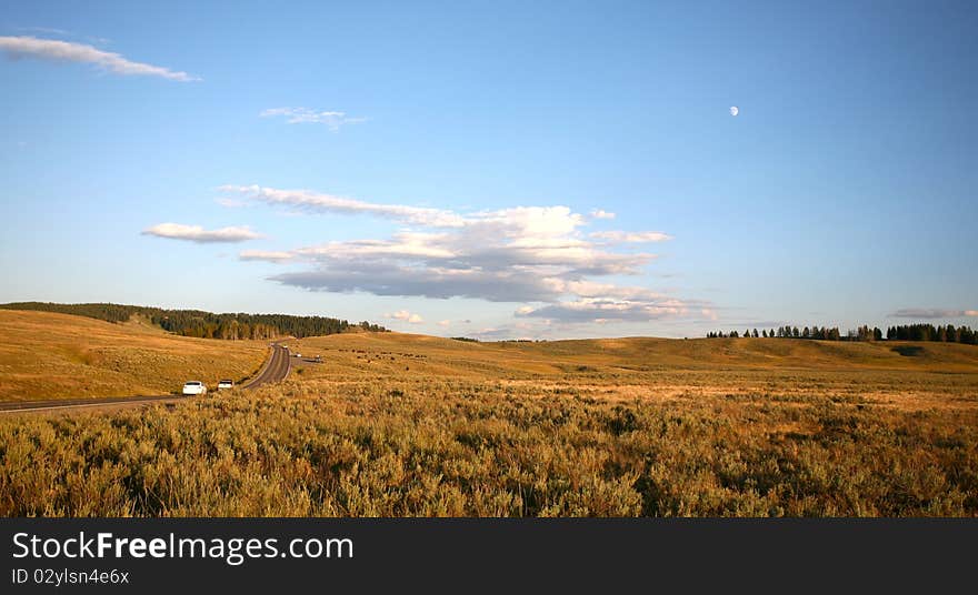 Road crossing grassland in yellow stone national park. Road crossing grassland in yellow stone national park