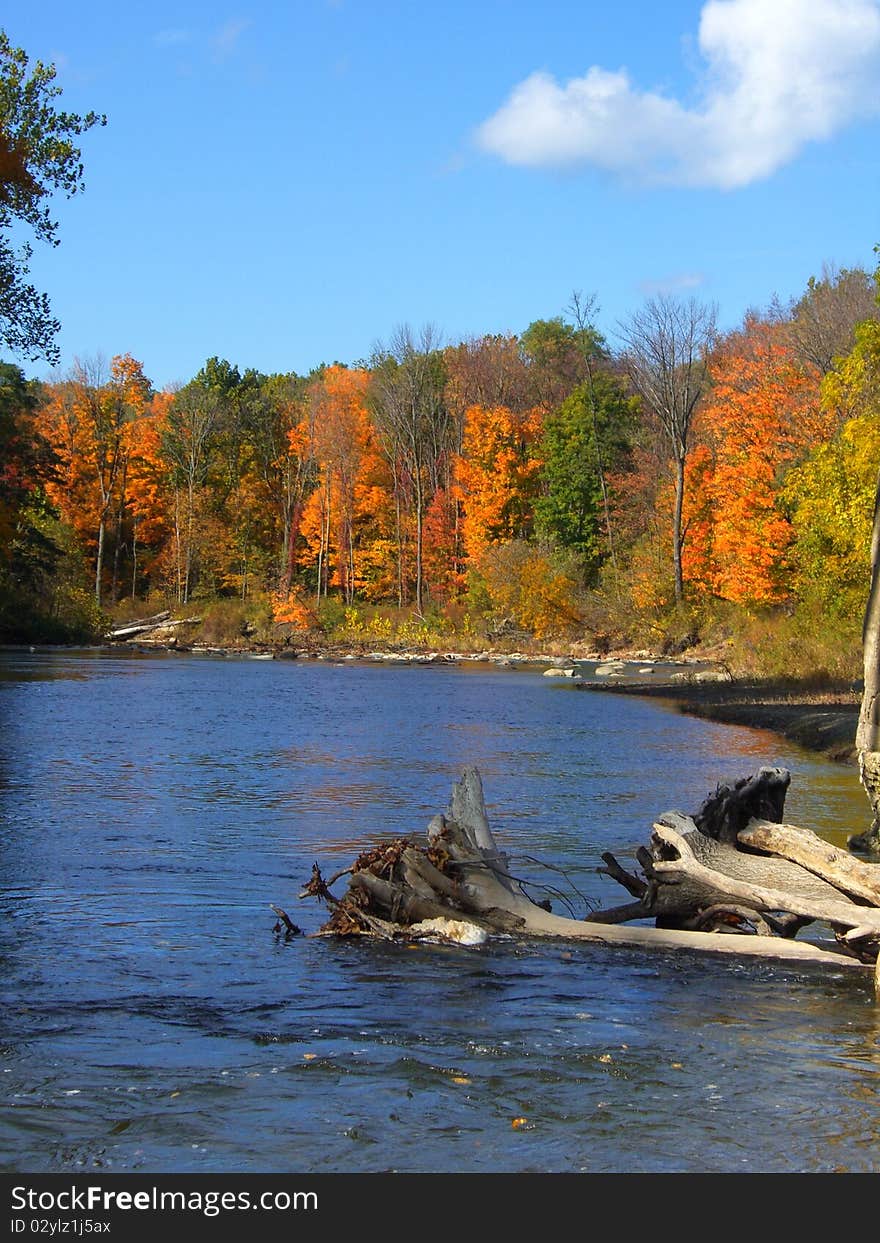 Beautiful blue creek in autumn. Beautiful blue creek in autumn.