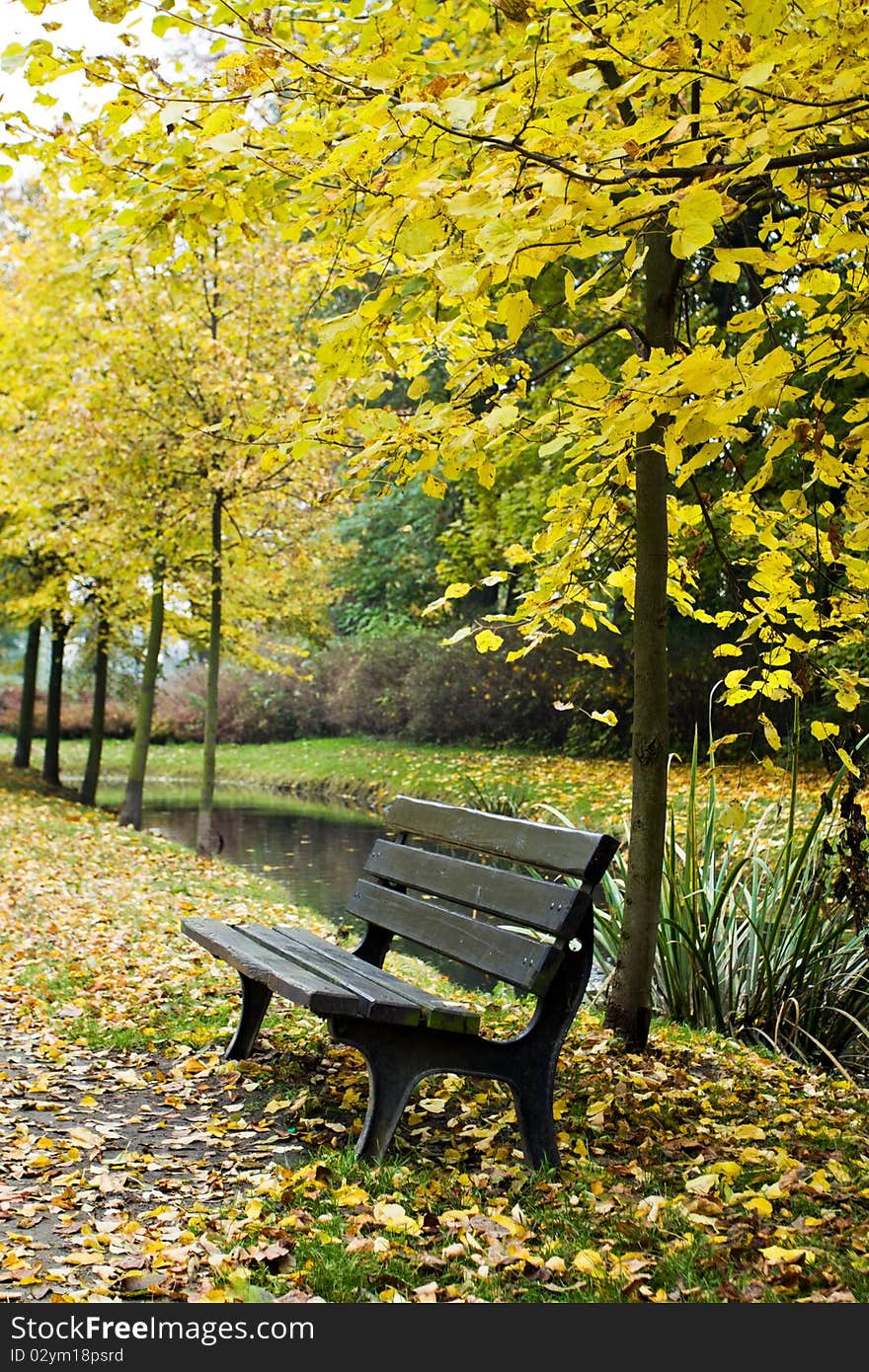 Bench In Autumn Forest