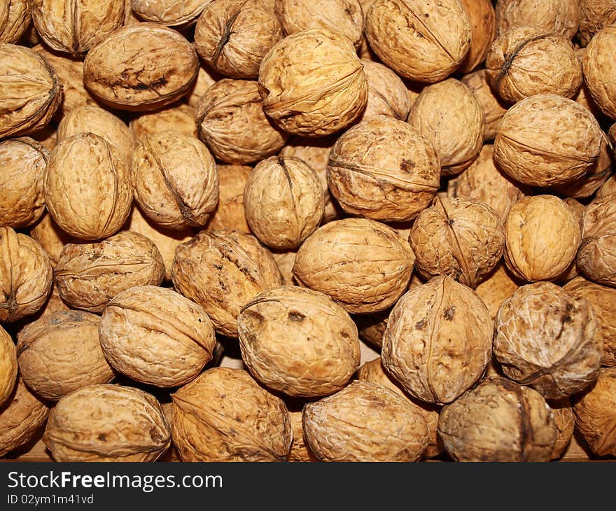 Walnuts scattered throughout the background