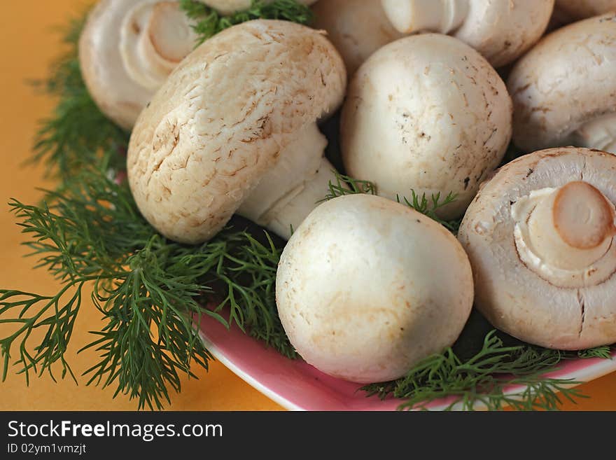 Mushrooms on a platter among sprigs of dill