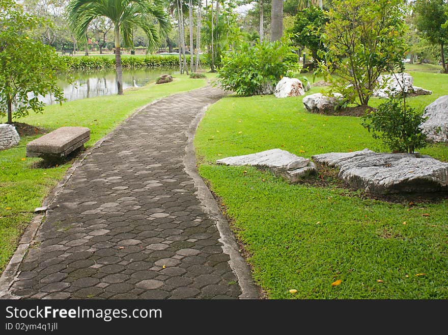 Stroll in the park. A tropical decor, good atmosphere. Stroll in the park. A tropical decor, good atmosphere.