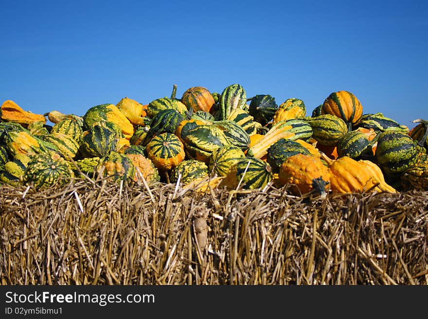 Yellow and green gourds