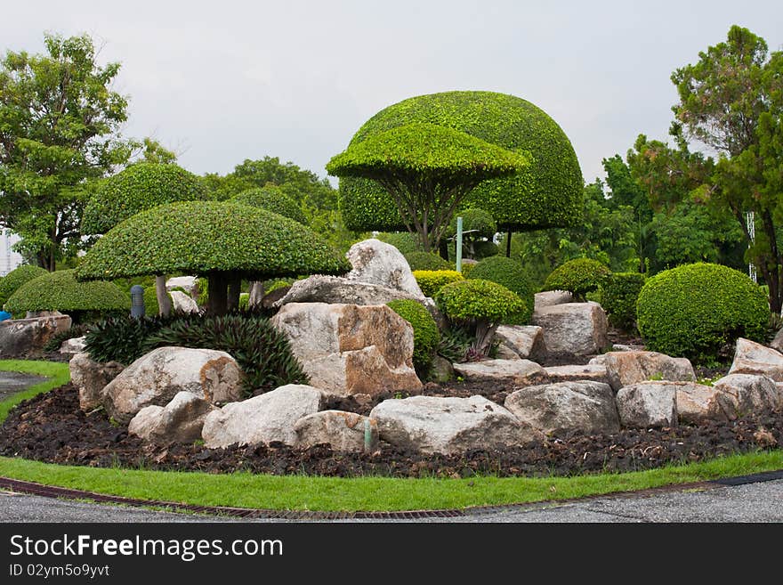 The rock garden with shrubs in the garden. The rock garden with shrubs in the garden.