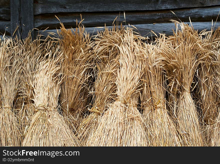 Sheaves of wheat / 1 0