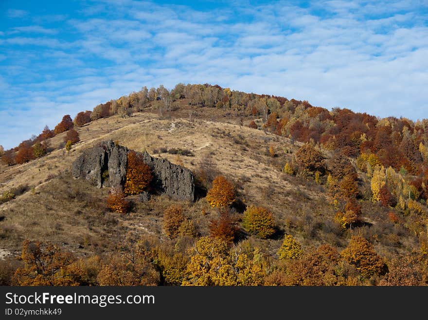 Autumn landscapes foliage against blue sky