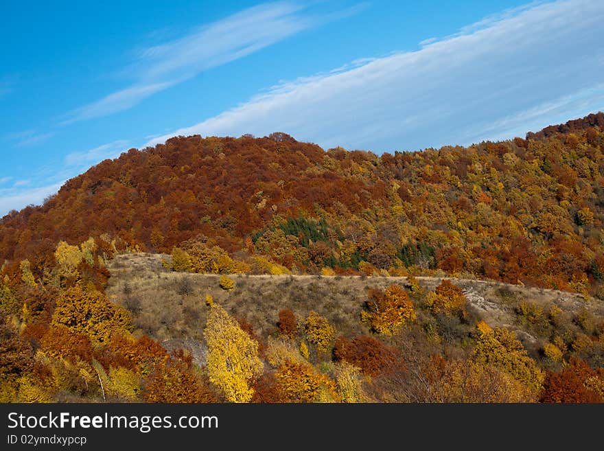 Autumn Landscape