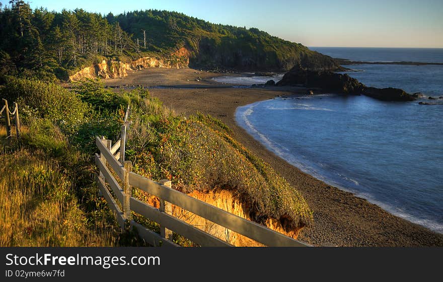 Fogarty creek shoreline