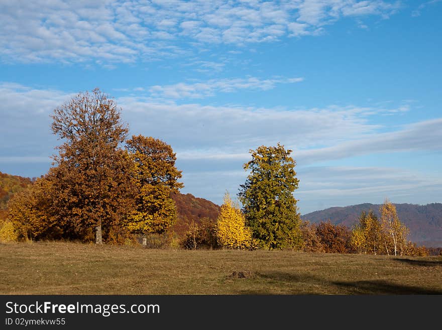 Autumn landscape trees on blue sky