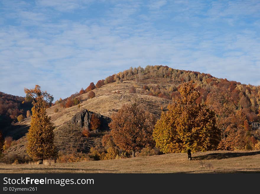 Autumn landscape trees on blue sky