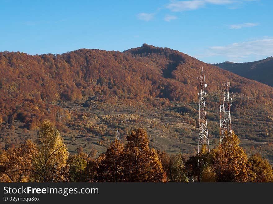 Autumn landscape trees on blue sky