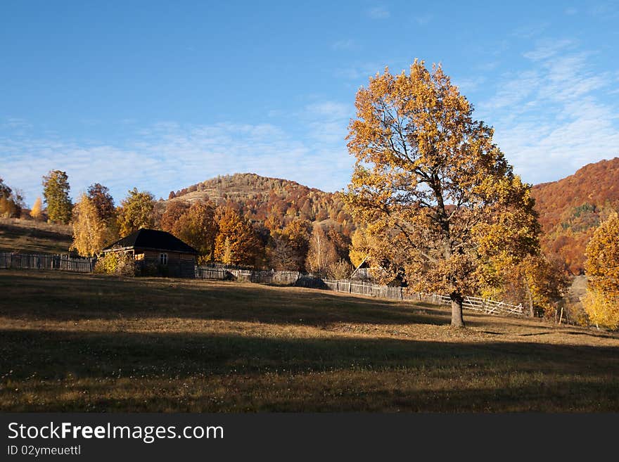 Autumn landscape trees on blue sky