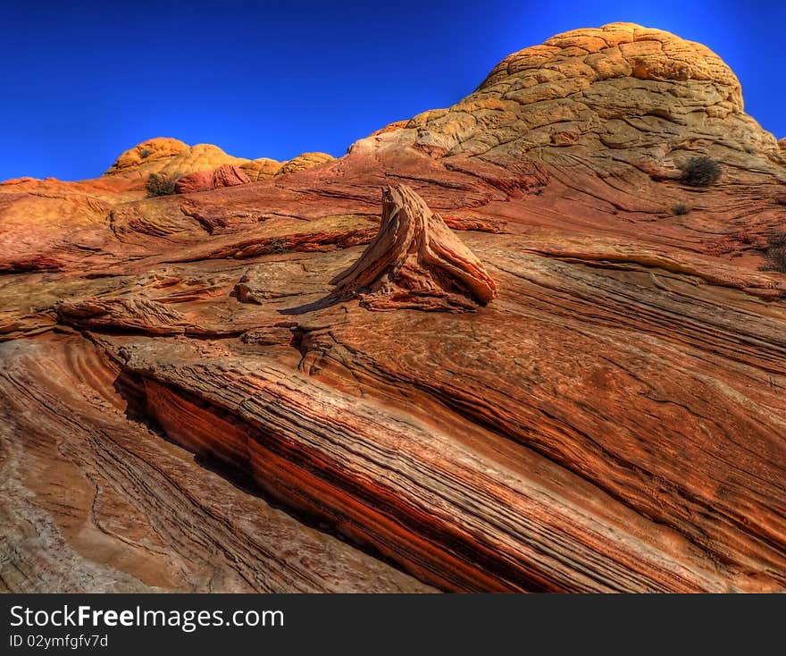 The Wave near Coyote Bluffs in Northern Arizona. Petrified sand dunes eroded by wind. HDR