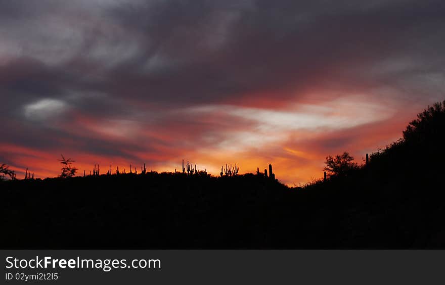 Desert at sunset