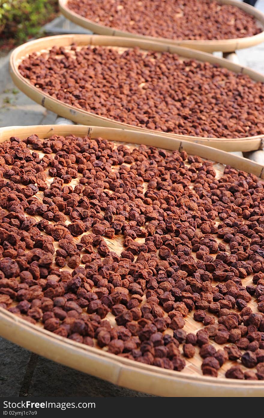 A Traditional Method Salted Red Bayberry.