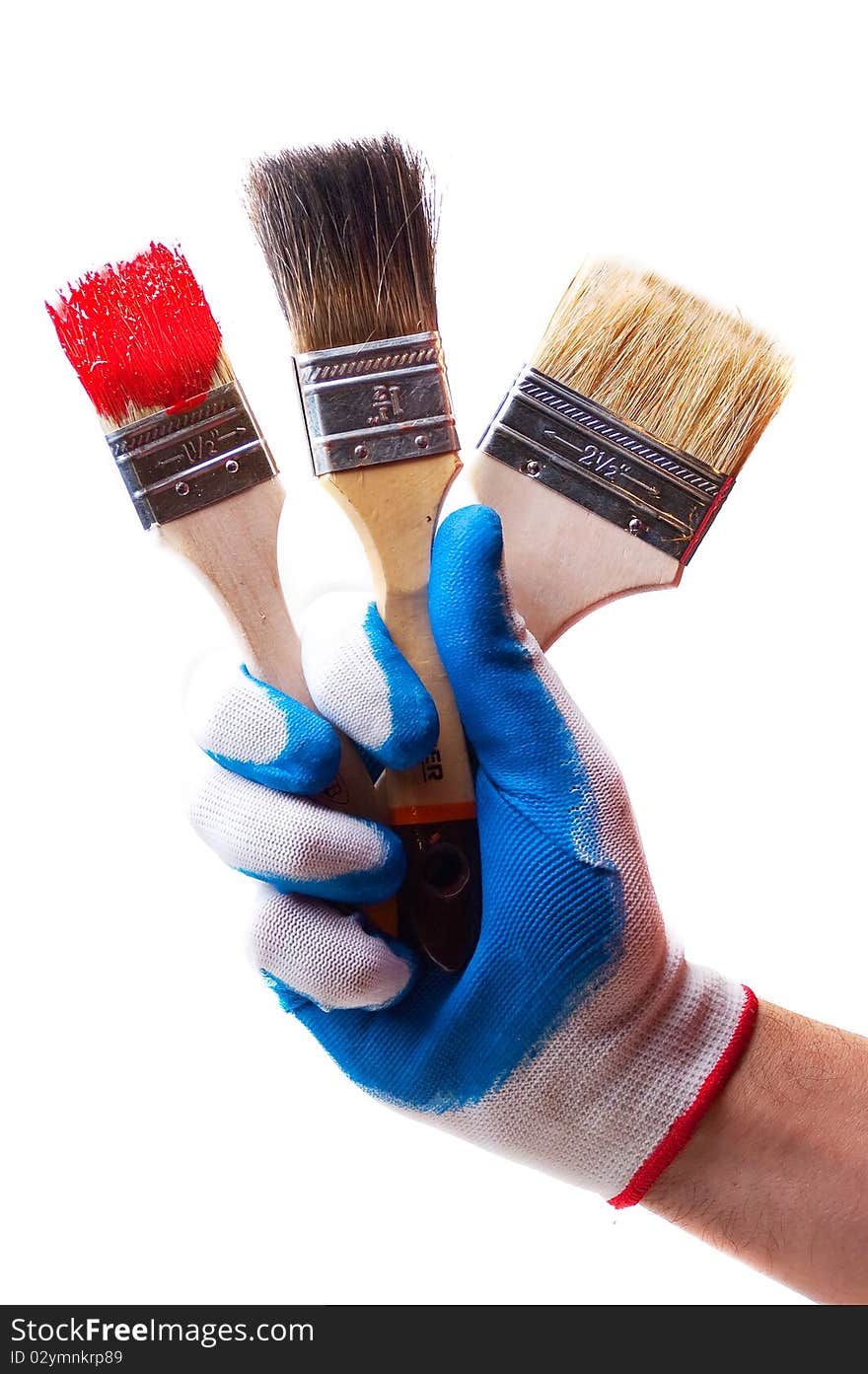 Hand and brushes