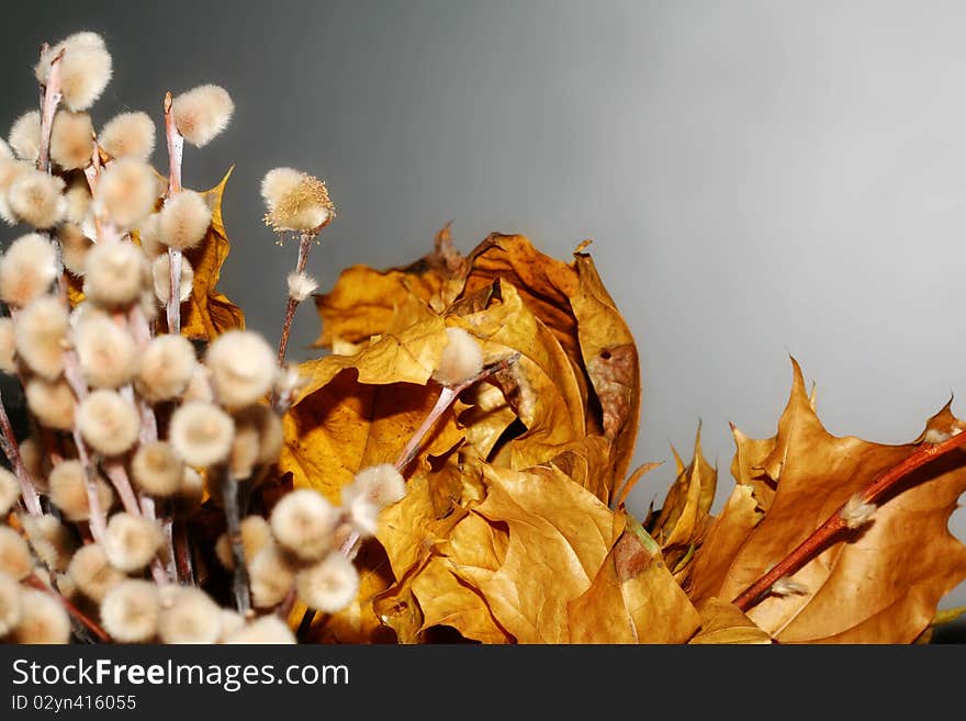 Yellow leafs on gray background