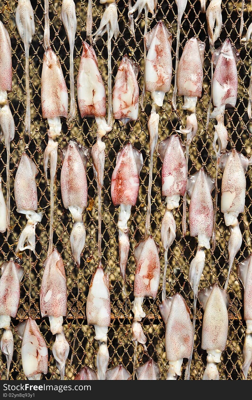 Squid drying in the sun, chonburi, thailand