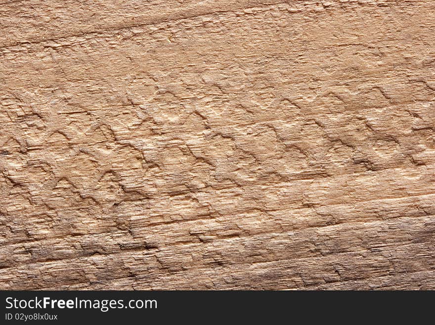 Wood background with the rough texture of the tree.