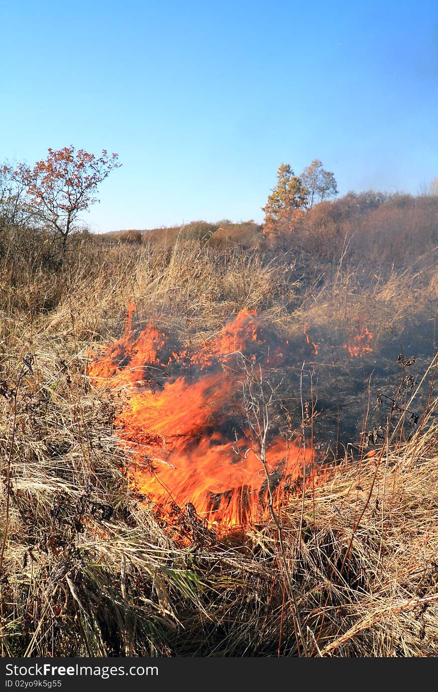 Red fire on autumn field